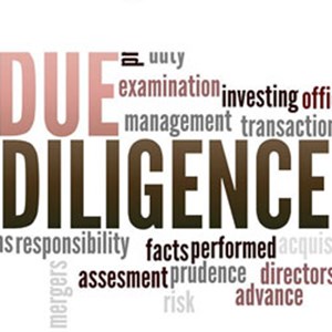 Blog #27: het marktsentiment: "De Europese Houtverordening Versus due diligence" 